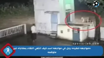 «مواجهة خطرة» رجل في مواجهة أسد كيف انتهى اللقاء بمفاجأة غير متوقعة